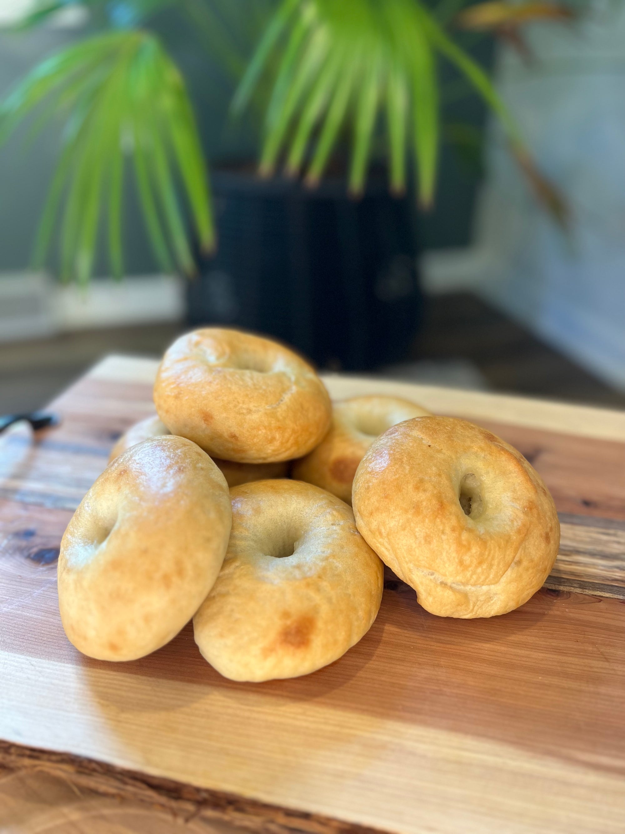 Sourdough Bagels