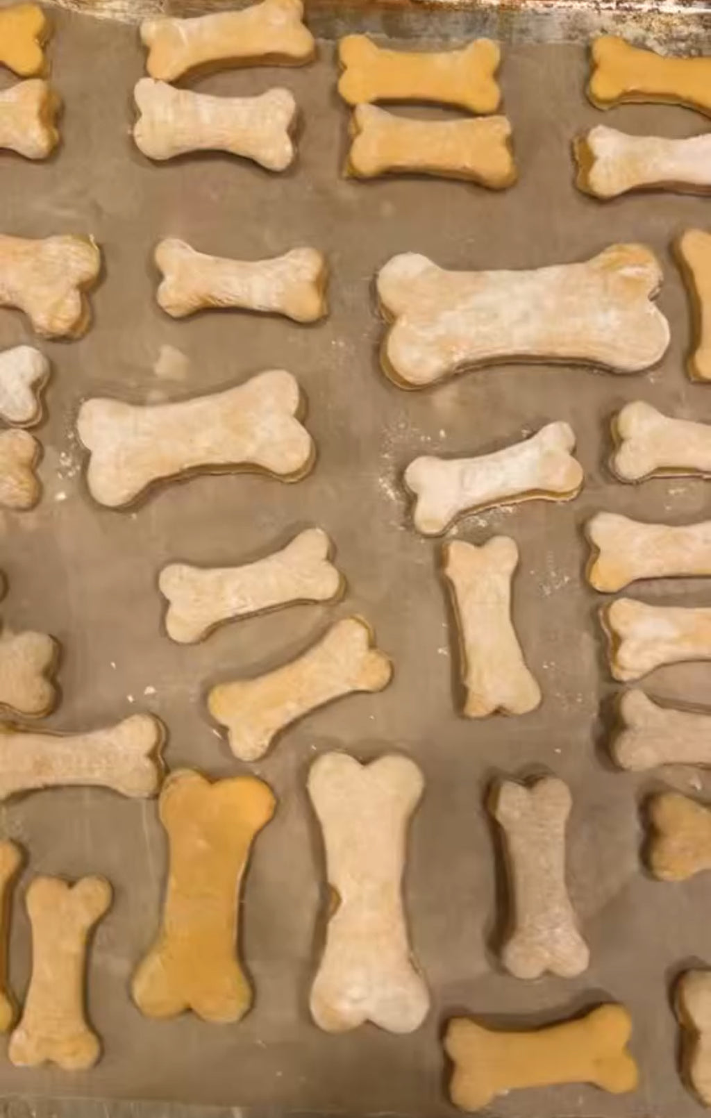 Garber's Dog Bones